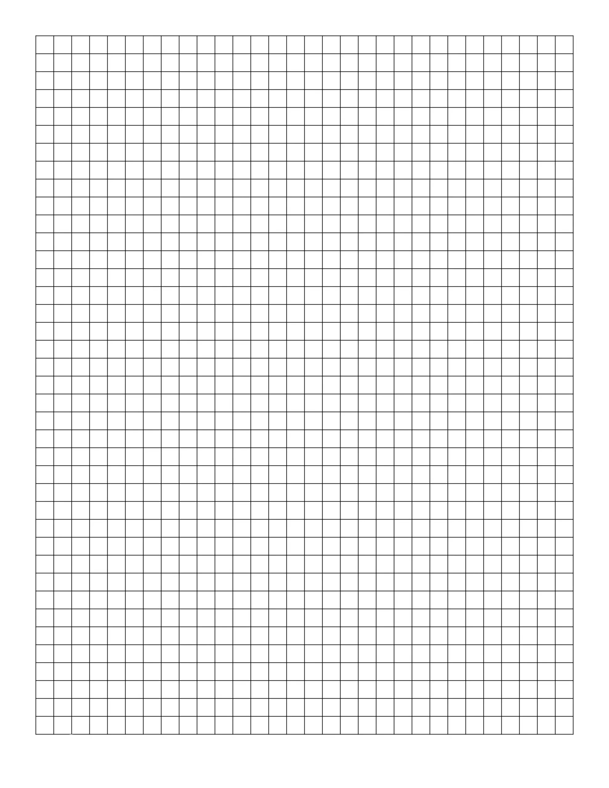 black 1/4"inch graph paper