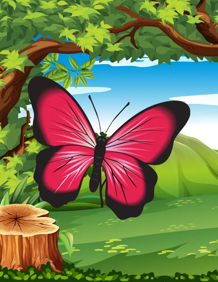 butterfly Coloring pages