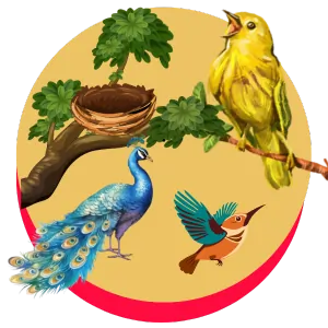 birds coloring page icon