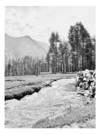 gray scale test image