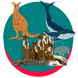 mammals coloring page icon