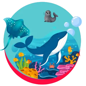 ocean animals coloring page icon